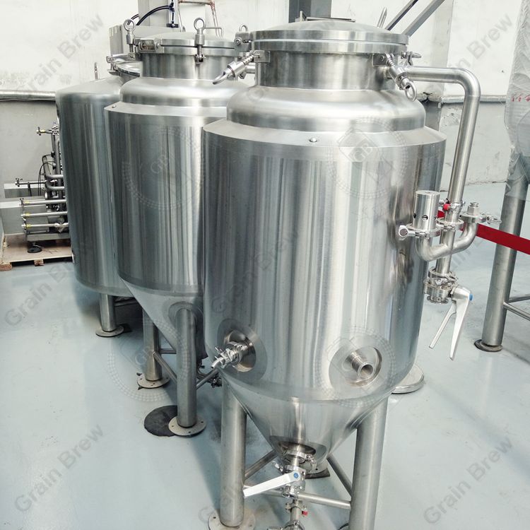 2BBL Conical Fermenter